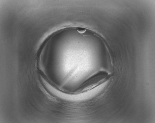 X0000054461503200508121923