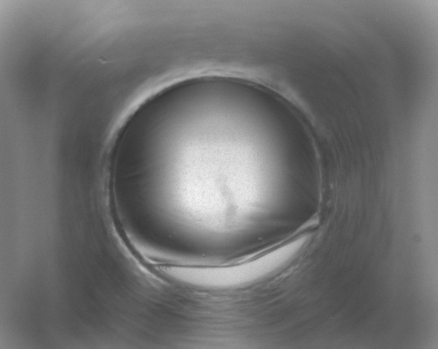 X0000054461504200508121923