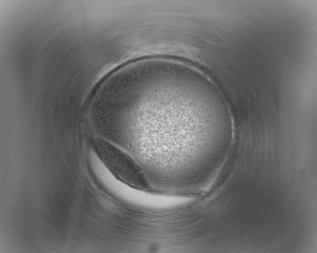 X0000054461505200508121923