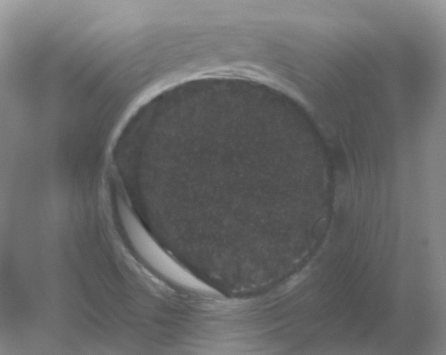 X0000054461506200508121923