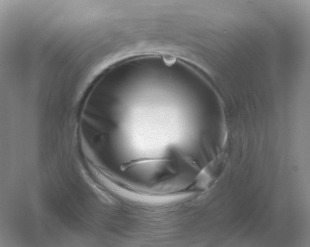 X0000054461507200508121923