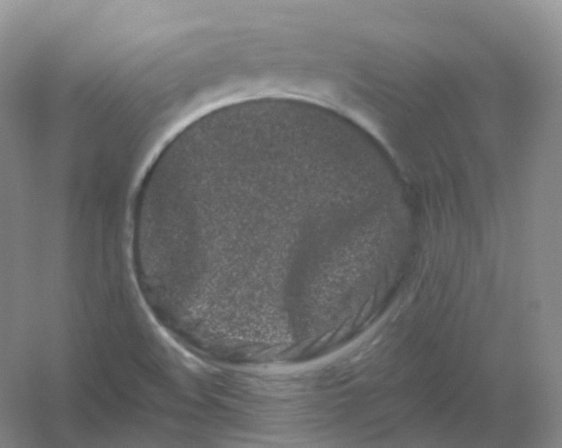 X0000054461508200508121923