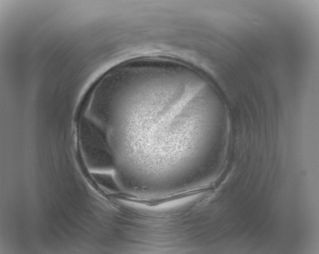 X0000054461509200508121923