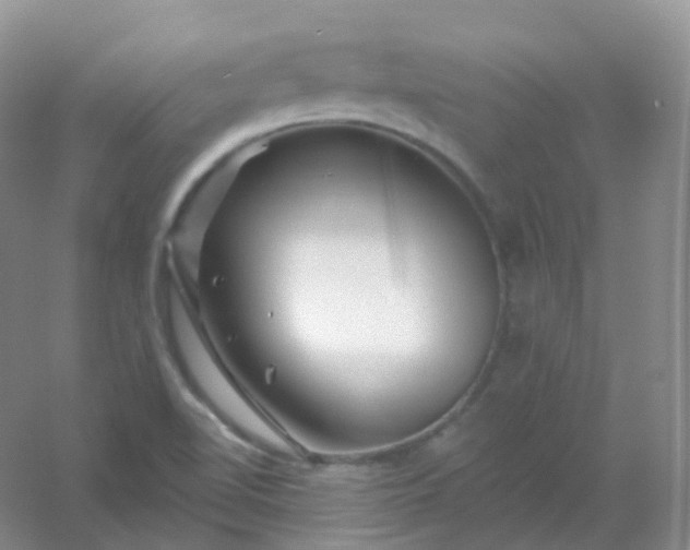 X0000054461510200508121923