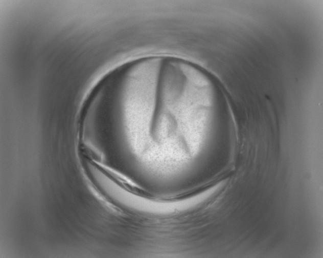 X0000054461511200508121923