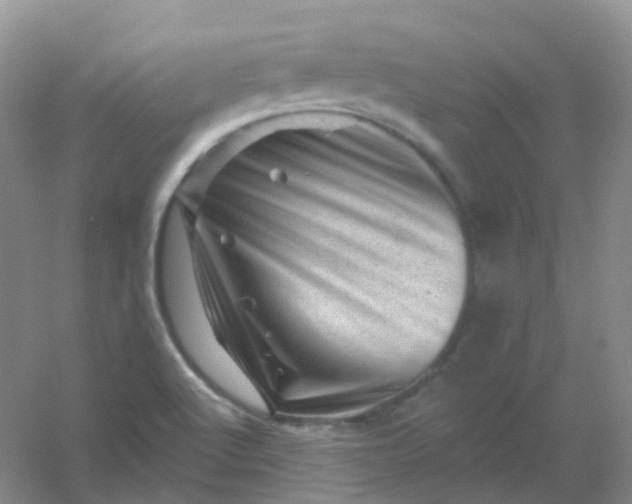 X0000054461512200508121923