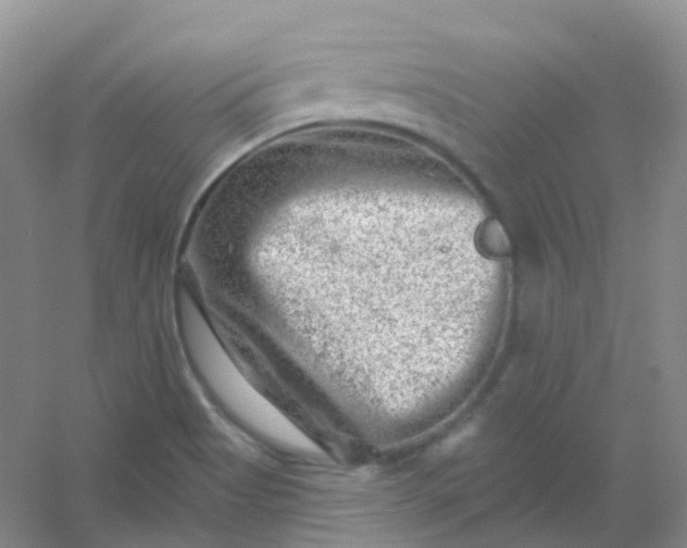 X0000054461513200508121923