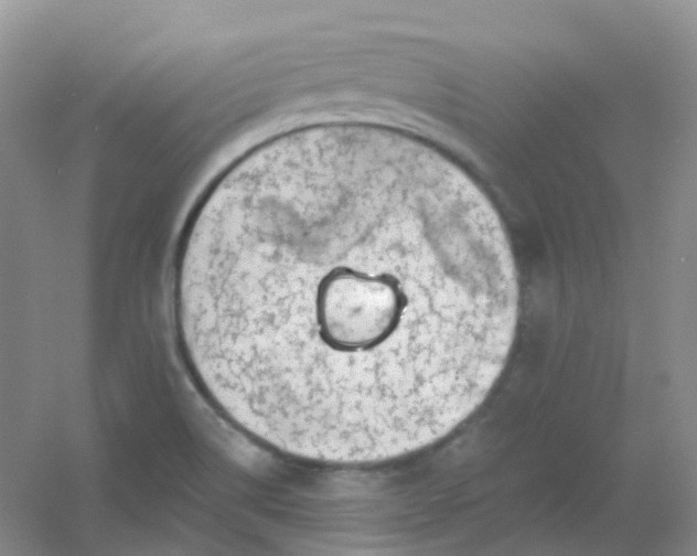 X0000054461514200508121924