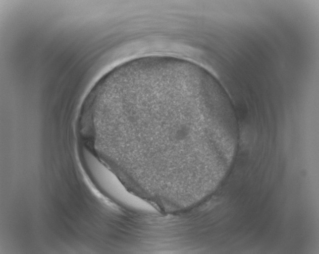 X0000054461515200508121924