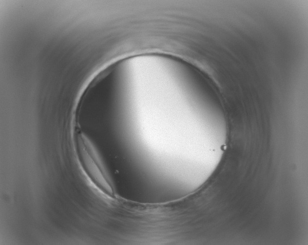 X0000054461516200508121924