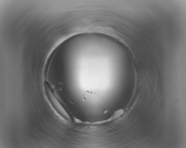 X0000054461517200508121924