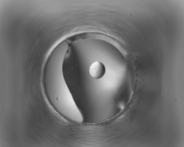 X0000054461518200508121924