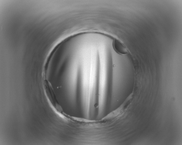 X0000054461519200508121924