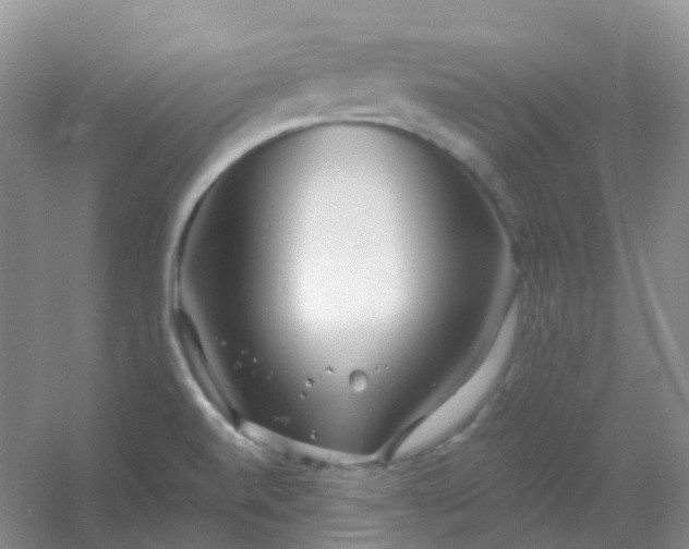 X0000054461520200508121924