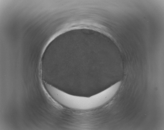 X0000054461522200508121924