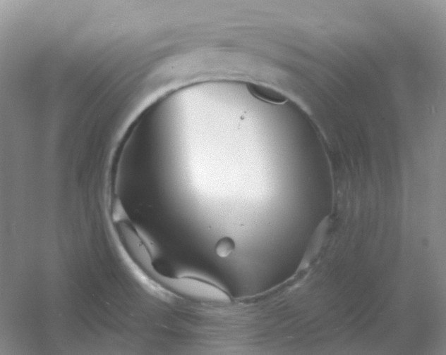 X0000054461523200508121924