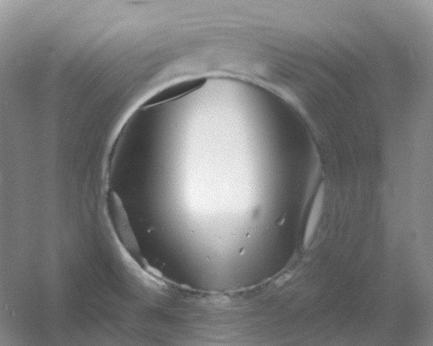 X0000054461524200508121924