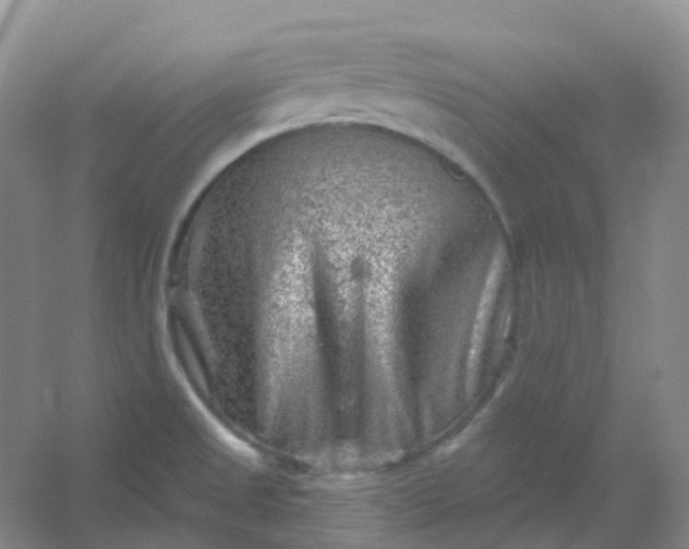 X0000054461525200508121924