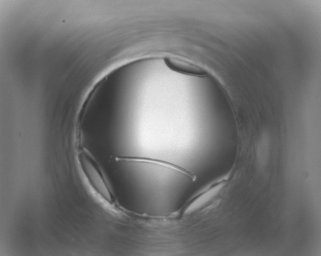 X0000054461526200508121924