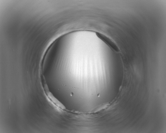 X0000054461527200508121924