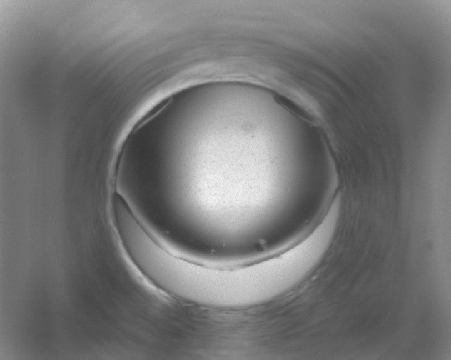 X0000054461528200508121924