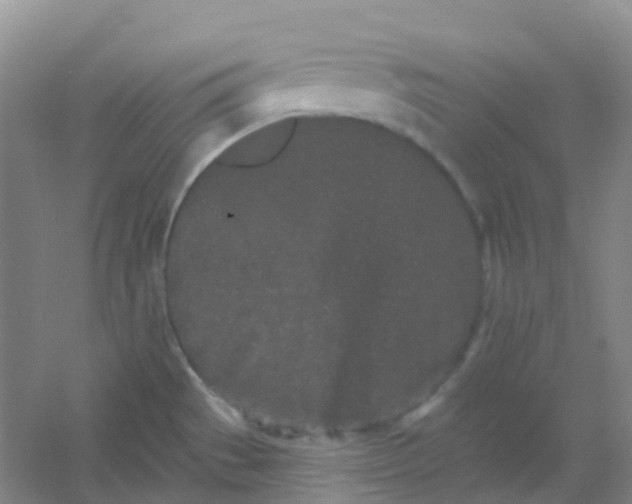 X0000054461529200508121924