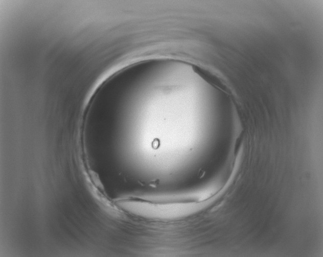 X0000054461530200508121924