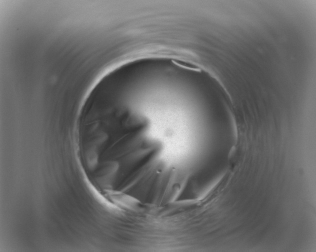 X0000054461531200508121924