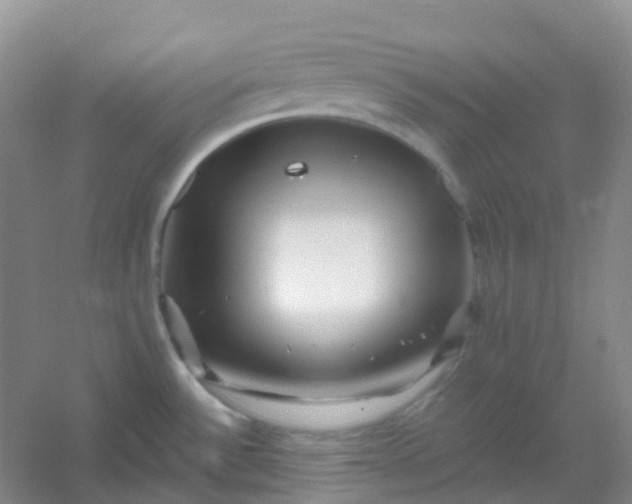 X0000054461532200508121924