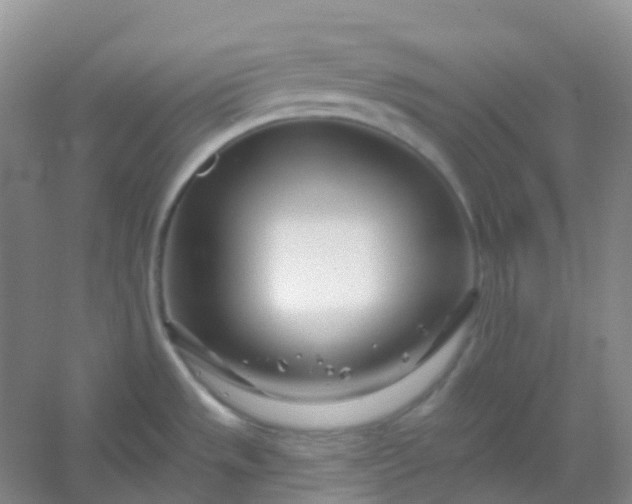 X0000054461533200508121924