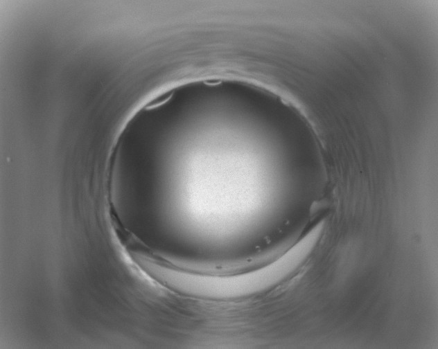 X0000054461534200508121924