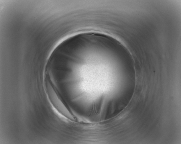 X0000054461535200508121924