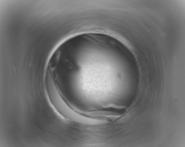 X0000054461536200508121924