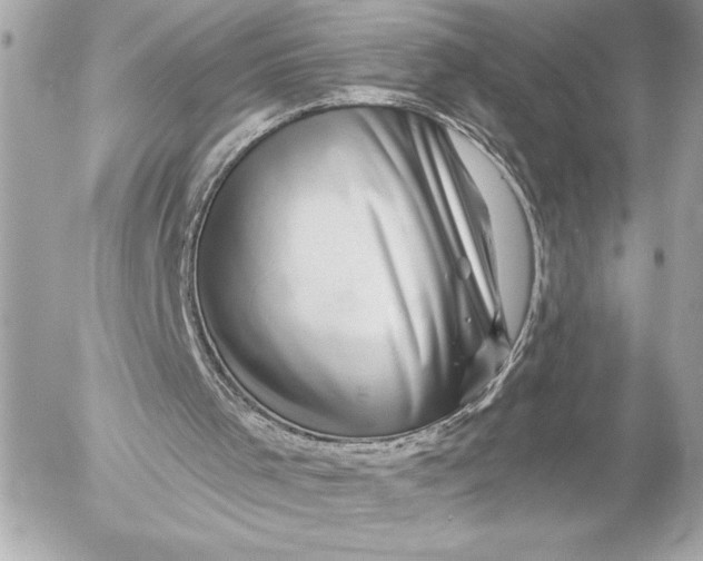 X0000054460001200508191714