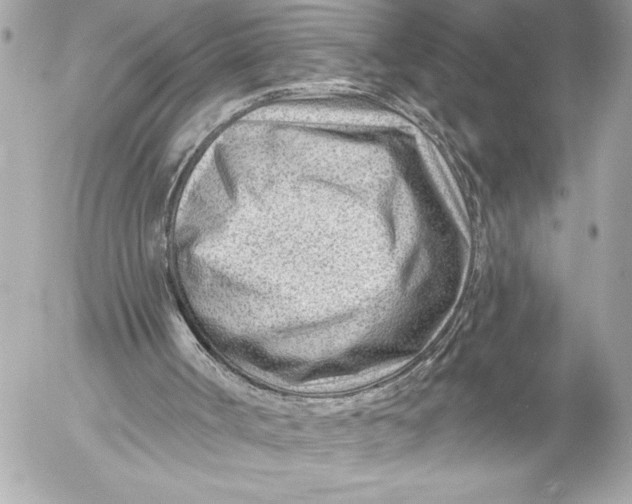 X0000054460002200508191714