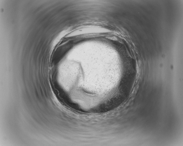 X0000054460003200508191714