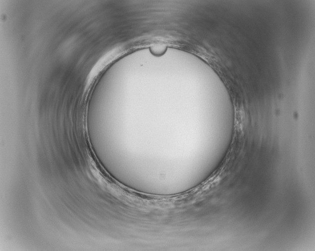 X0000054460004200508191714