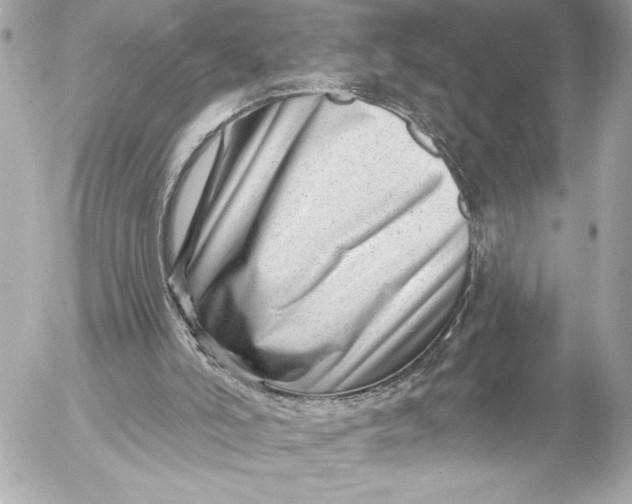 X0000054460006200508191714