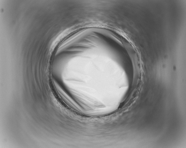 X0000054460007200508191714