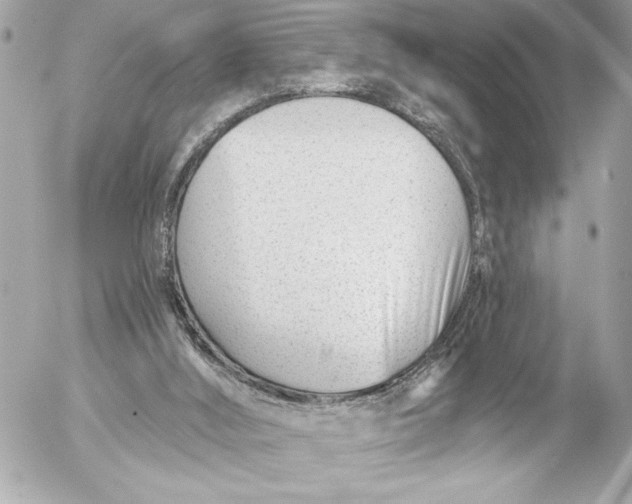 X0000054460012200508191714