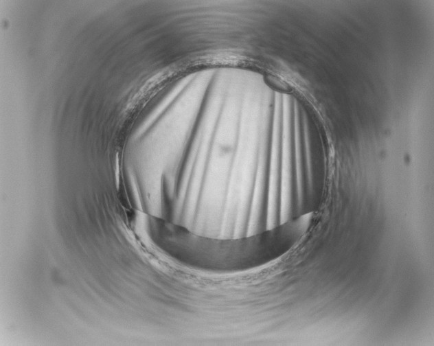 X0000054460013200508191714