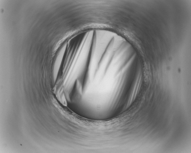 X0000054460015200508191714