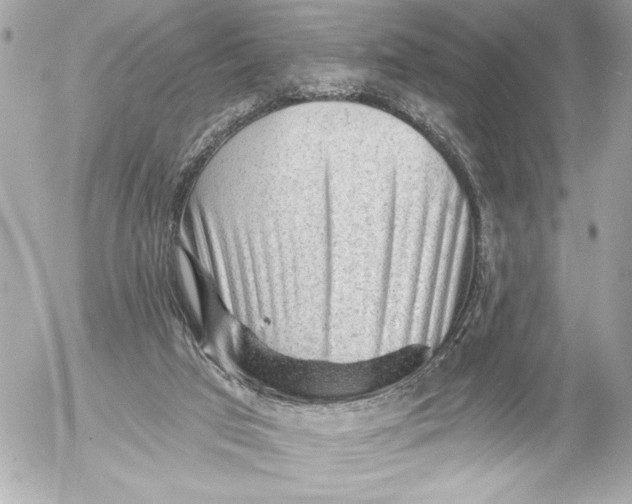 X0000054460017200508191714