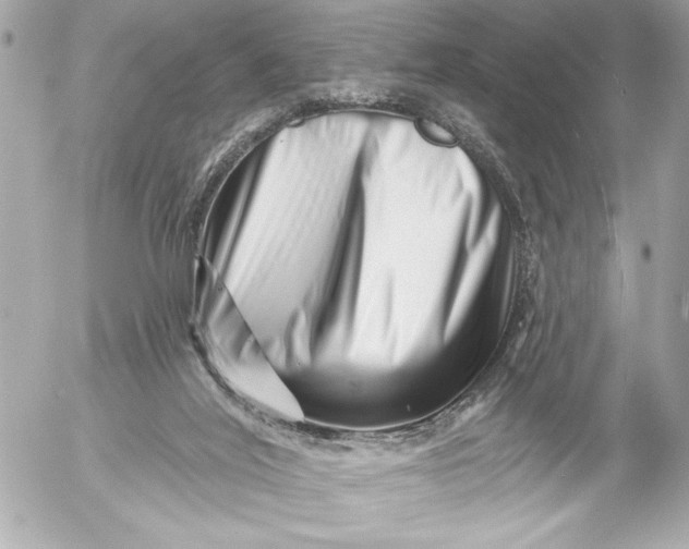 X0000054460020200508191714