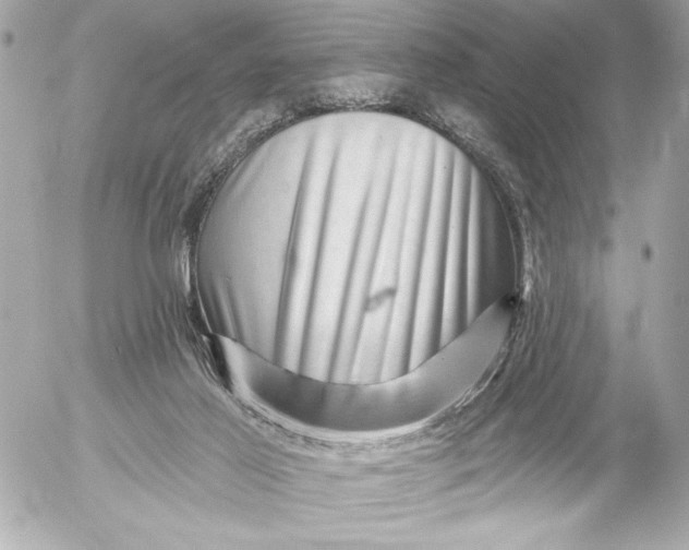 X0000054460021200508191714