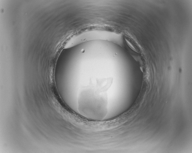 X0000054460023200508191714