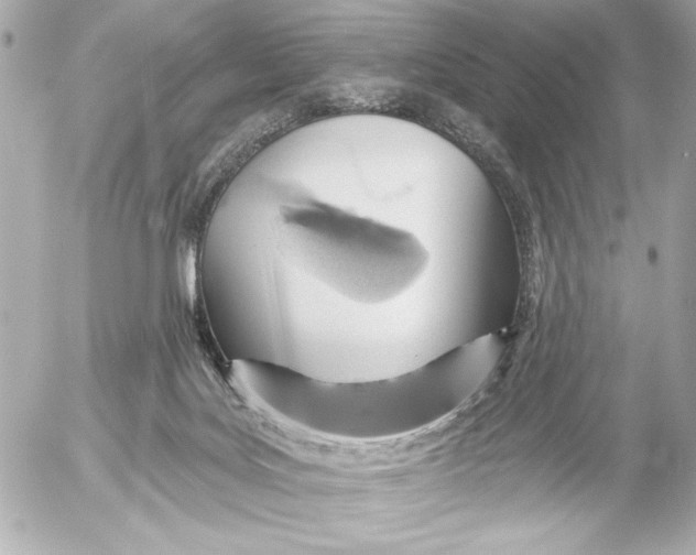 X0000054460027200508191714