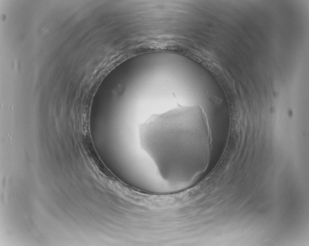 X0000054460031200508191714