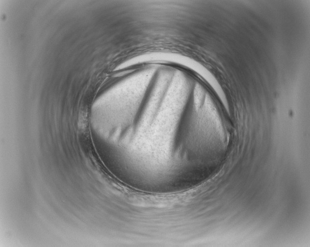 X0000054460033200508191714