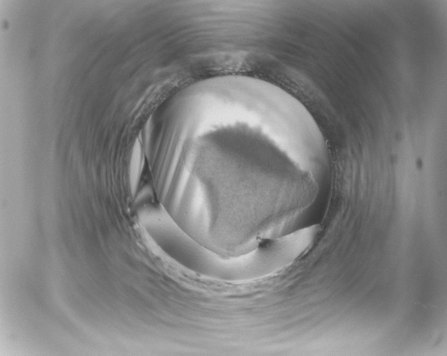X0000054460035200508191714